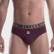 Brief